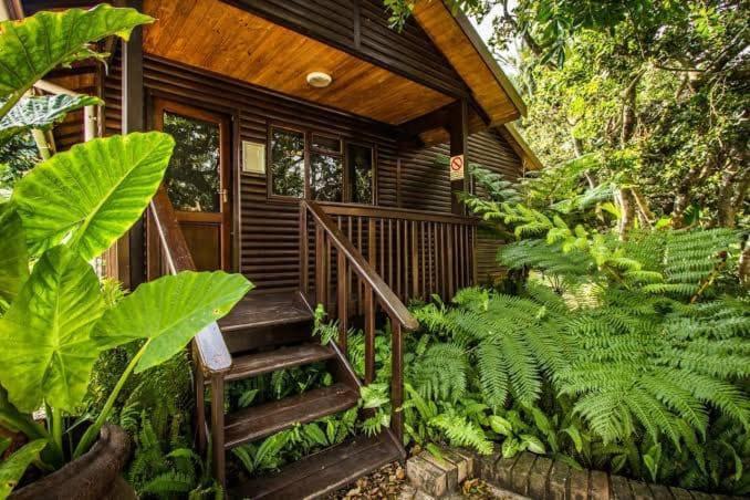 河马小屋 理查兹湾 外观 照片