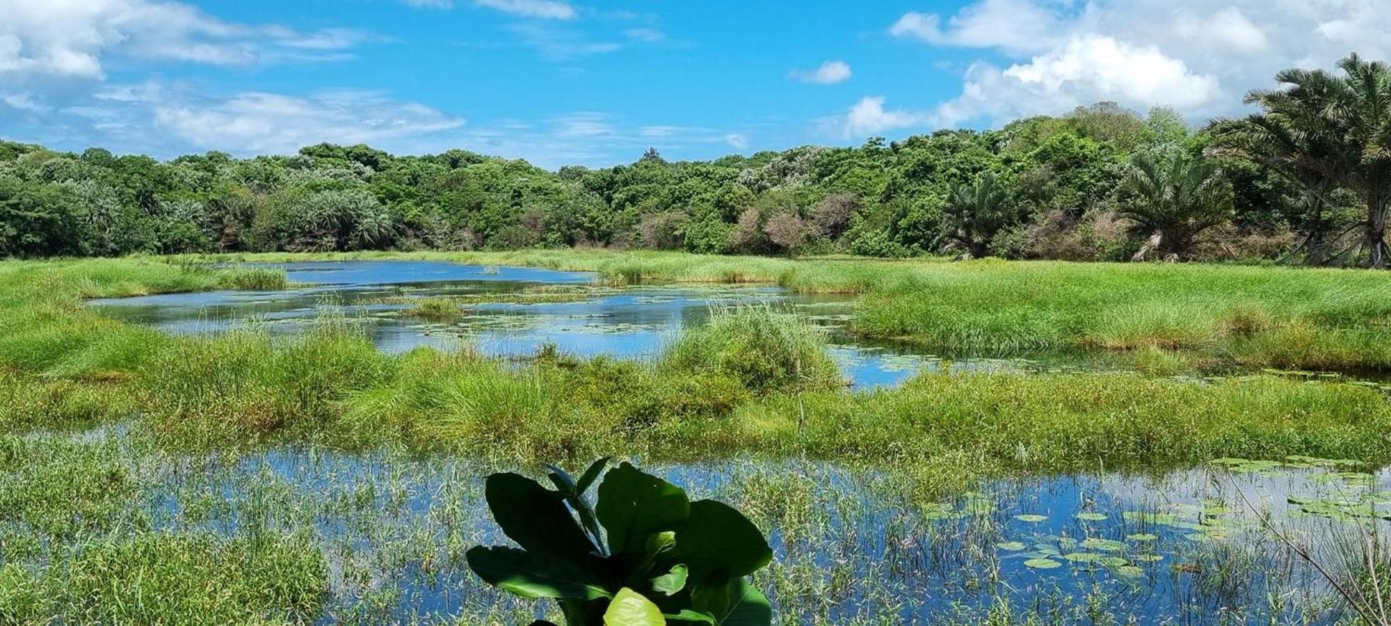 河马小屋 理查兹湾 外观 照片